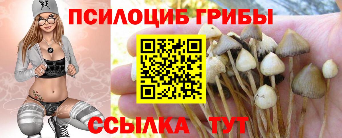Псилоцибиновые грибы Cubensis  Вход с VPN  Псилоцибиновые грибы Psilocybe  Хасавюрт 